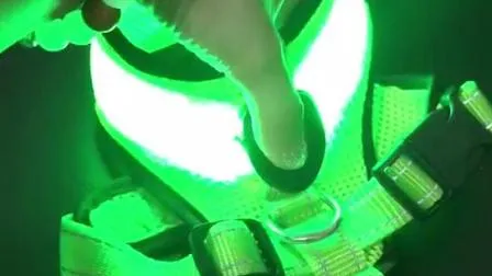 LED Flashing Dog Walking Belt Harness Strong Nylon Webbing Tether Pet Safety Collar Comfortable Strap Vest for Large Medium Dog